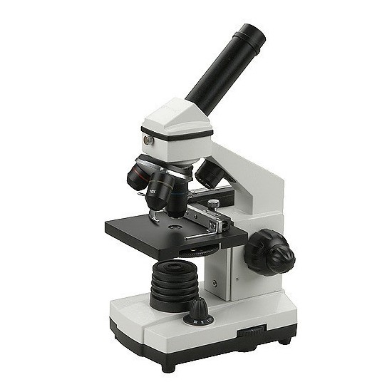 AFD Genova, Microscopio Opticon Biolife Pro (monoculare) microscopio  ottico, microscopio ottico prezzo, microscopio ottico funzionamento