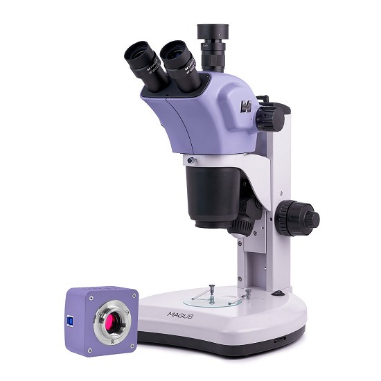 microscopio per monete | microscopio per micologia | microscopio per molecole | microscopio stereo
