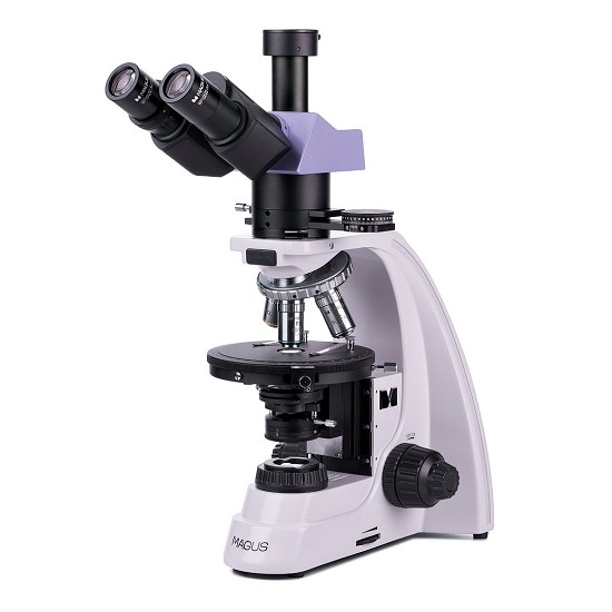 microscopio a luce polarizzata | microscopio polarizzatore prezzo | capello al microscopio ottico