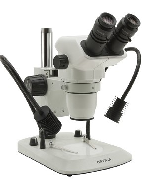 microscopio professionale usato | microscopio stereo professionale | microscopio vendita online
 