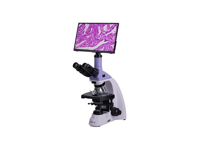 Microscopio biologico digitale MAGUS Bio D250TL LCD Microscopio biologico digitale MAGUS Bio D250TL LCD