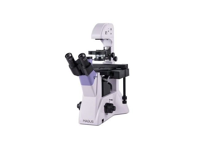 Microscopio biologico invertito MAGUS Bio V350 Microscopio biologico invertito MAGUS Bio V350