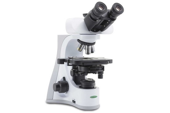 Zenith Microscopio Zenith B-510 T Ph