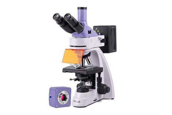 Magus Microscopio a fluorescenza digitale MAGUS Lum D400