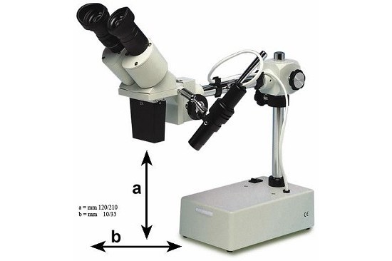 Zenith Microscopio Zenith STL80