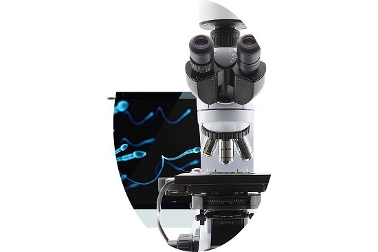 Zenith Microscopio Zenith 383 Phi x-LED3