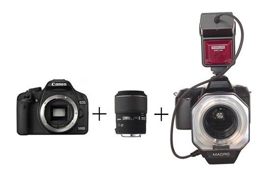 Canon Reflex + Flash + Obiettivo per macro