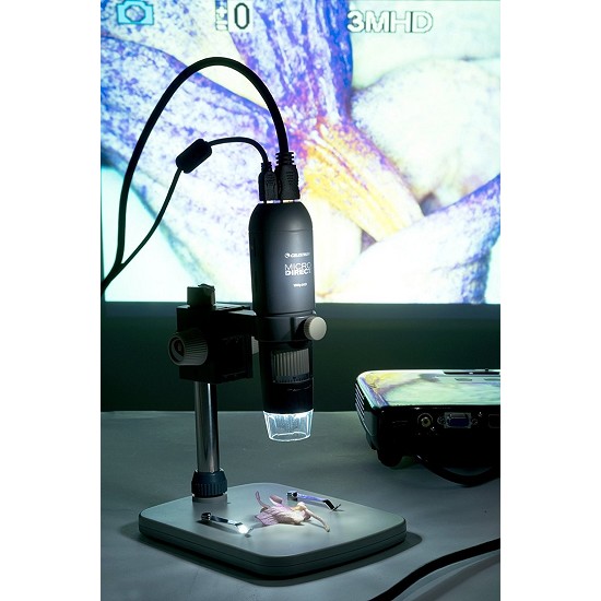 microscopio usb professionale | microscopio digitale portatile | miglior microscopio per ragazzi
