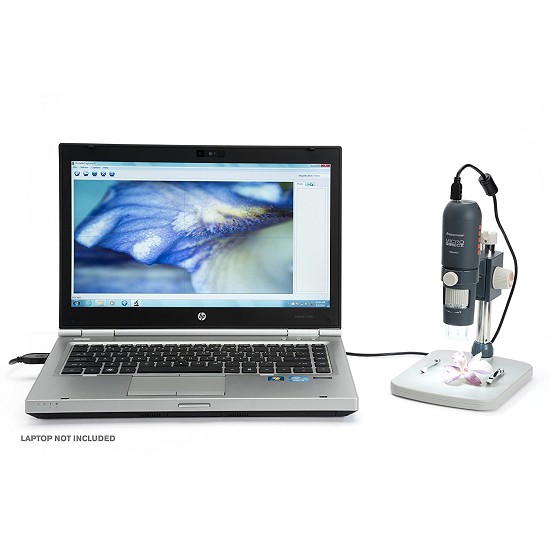 microscopi digitali portatili | celestron microscopio usb | microscopio digitale usb 1000x | spezia