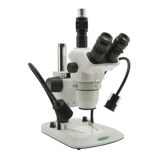 microscopio biologico binoculare | vendita microscopi genova | miglior microscopio per ragazzi