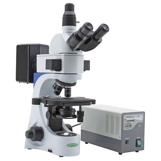 tipi di microscopio | microscopio a contrasto di fase | microscopio binoculare | microscopi ottici
