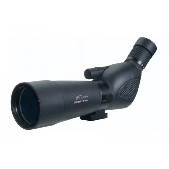 binocolo professionale birdwatching | consiglio cannocchiale poligono | cannocchiale terrestre 100x
