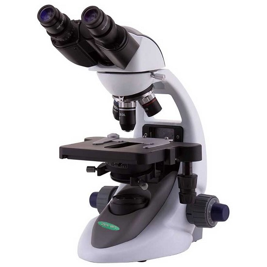 ingrandimento microscopio per vedere cellule | cocchi al microscopio | enterogermina al microscopio