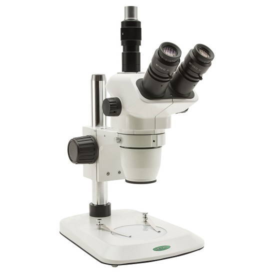 differenza tra microscopio biologico e stereoscopico | stereoscopio e microscopio differenze genova