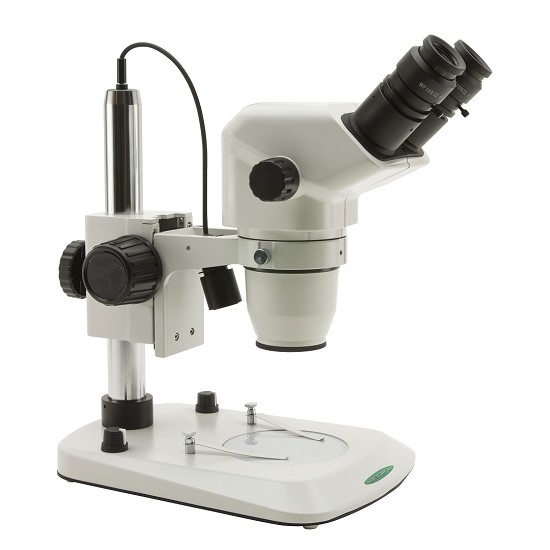 stereomicroscopio 100x | microscopi zenith | lezione sul microscopio ottico | microscopio ottico uso
