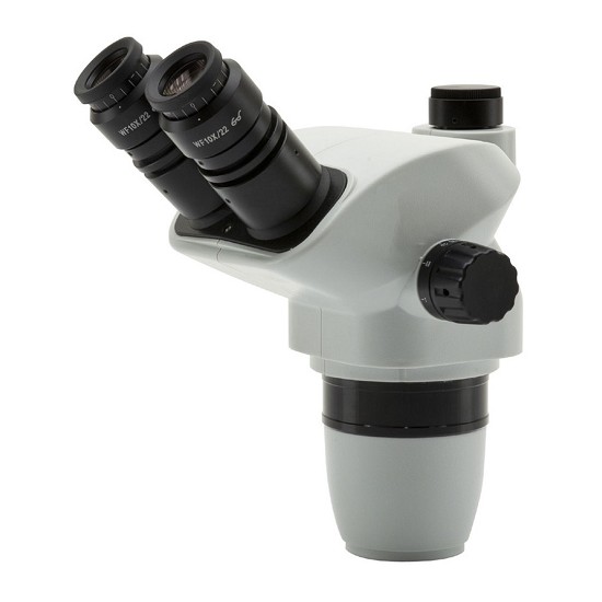 microscopio ottico cosa si vede | microscopio ottico prezzo a verona | microscopio ottico composto