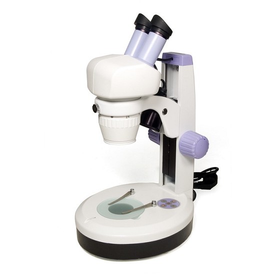 tipi di microscopio como | microscopia in campo chiaro e scuro | microscopia confocale a domodossola