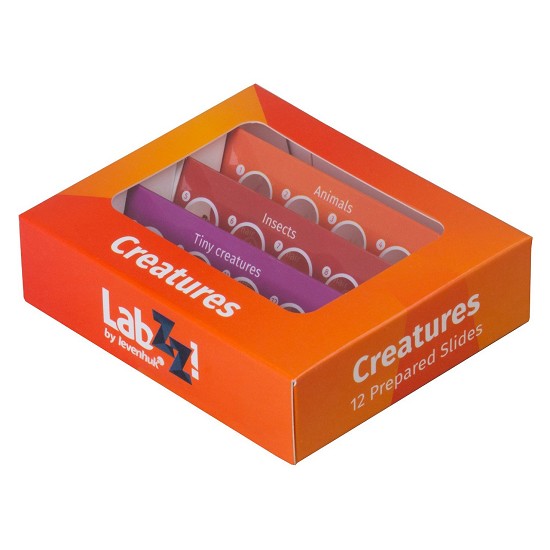 vetrino copri oggetti | vetrini microscopio farmacia | vetrini microscopio farmacia a domodossola