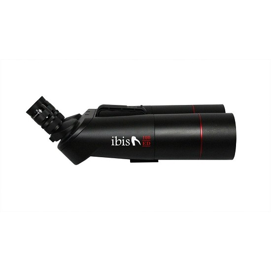 Binocolo per vedere le stelle | Binocolo astronomico Celestron a foggia | Binocolo astronomico usato