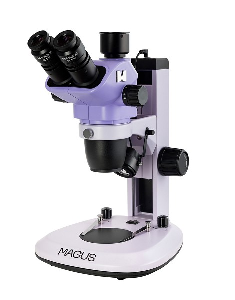 Microscopio Stereo 7T