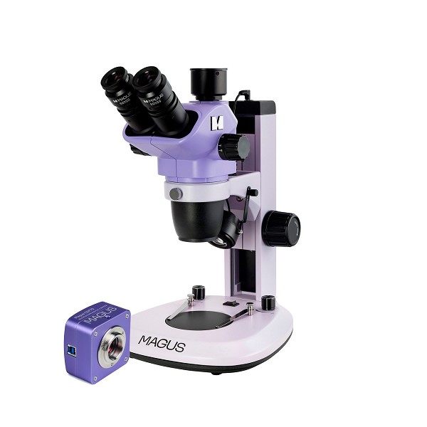 Microscopio digitale Stereo D7T PLUS