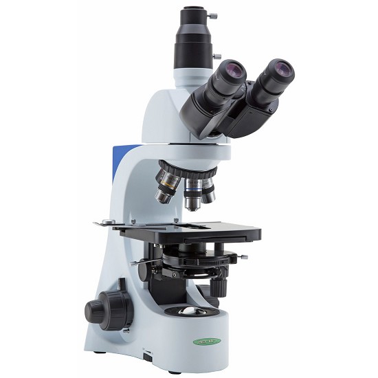 microscopia in campo oscuro milano | microscopia in campo oscuro roma | analisi in campo oscuro roma