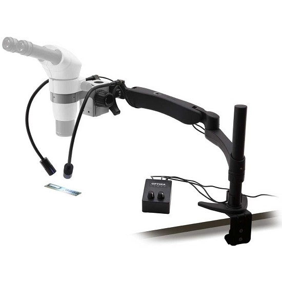 microscopio a led | illuminatore led per microscopio | luce led per microscopio | microscopi a parma