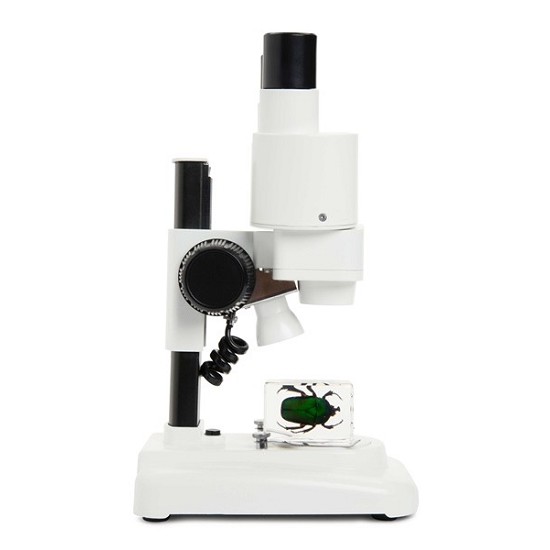 microscopio ottico descrizione | microscopio ottico funzionamento | microscopio ottico ed elettronic