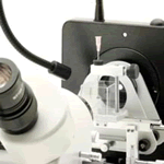 miglior microscopio biologico | miglior microscopio usb | migliori marche microscopi a vercelli

