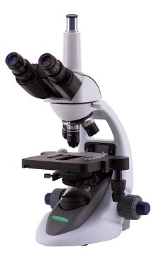 streptococchi al microscopio ottico torino | cocchi significato | quali sono i batteri dello yogurt