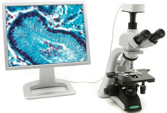 microscopio trinoculare con telecamera | microscopio digitale bambini | microscopio portatile 1000x