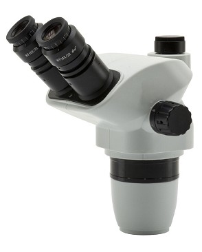 microscopio ottico cosa si vede | microscopio ottico prezzo a verona | microscopio ottico composto