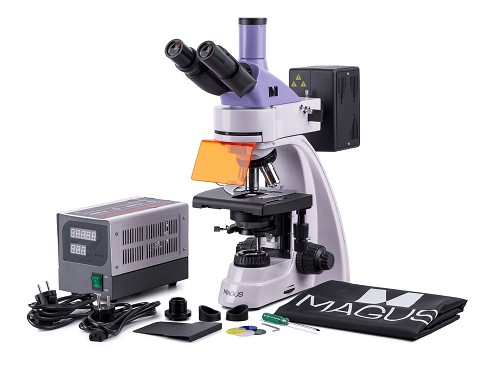 microscopio professionale usato ancona | microscopio invertito prezzo | dove comprare un microscopio
