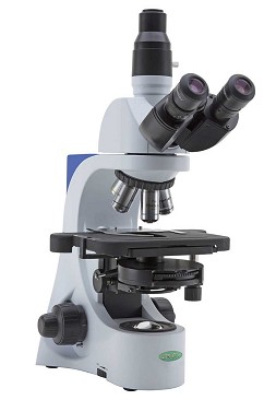 fertilità maschile microscopio | problemi fertilità maschile | infertilità maschile esami clinici
