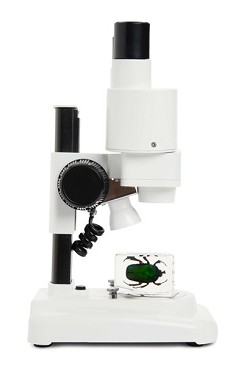 microscopio ottico descrizione | microscopio ottico funzionamento | microscopio ottico ed elettronic